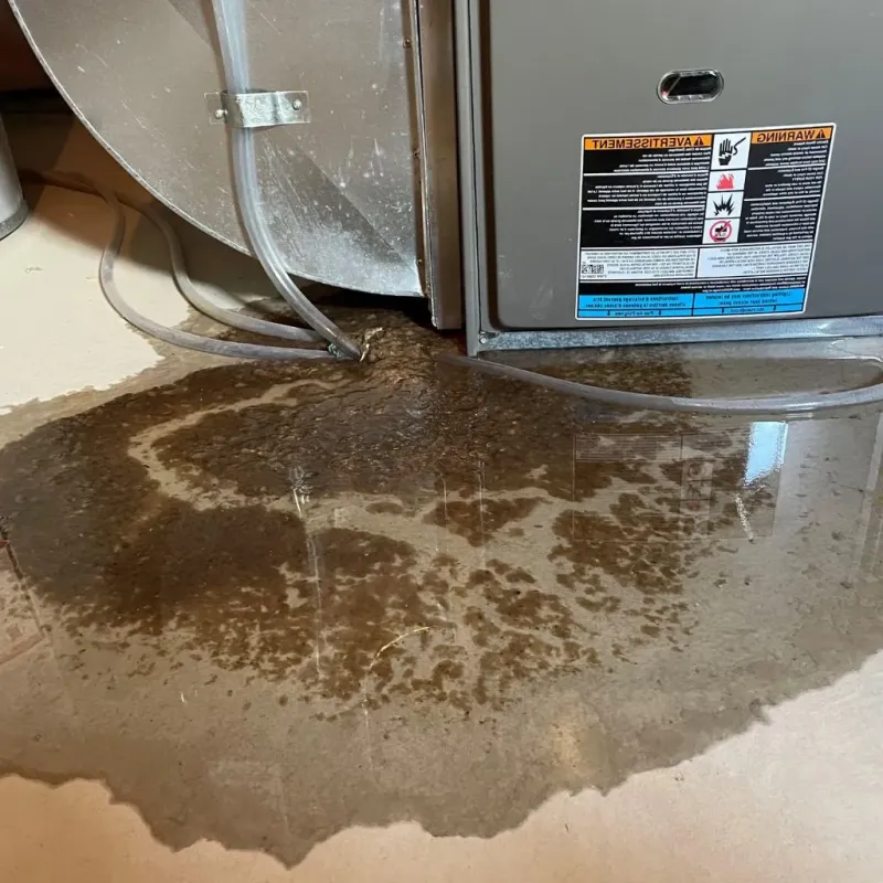 Pipe Burst and Leak Restoration in East Franklin, NJ